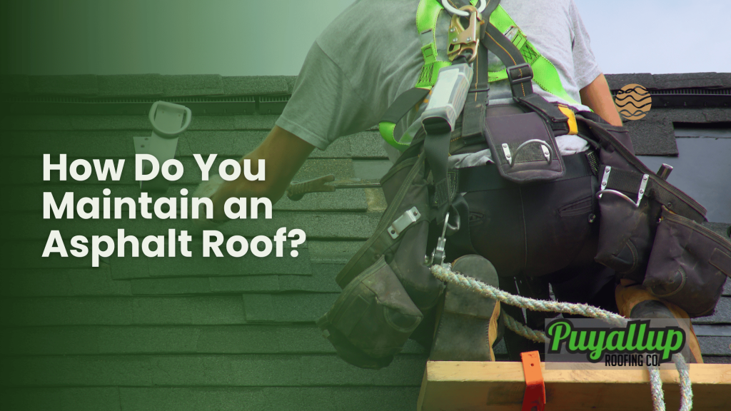 How Do You Maintain an Asphalt Roof