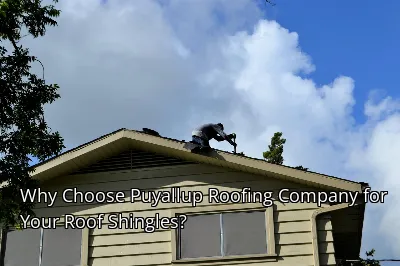 Why Choose Puyallup Roofing Company for Your Roof Shingles?