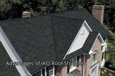 Advantages of IKO Roof Shingles