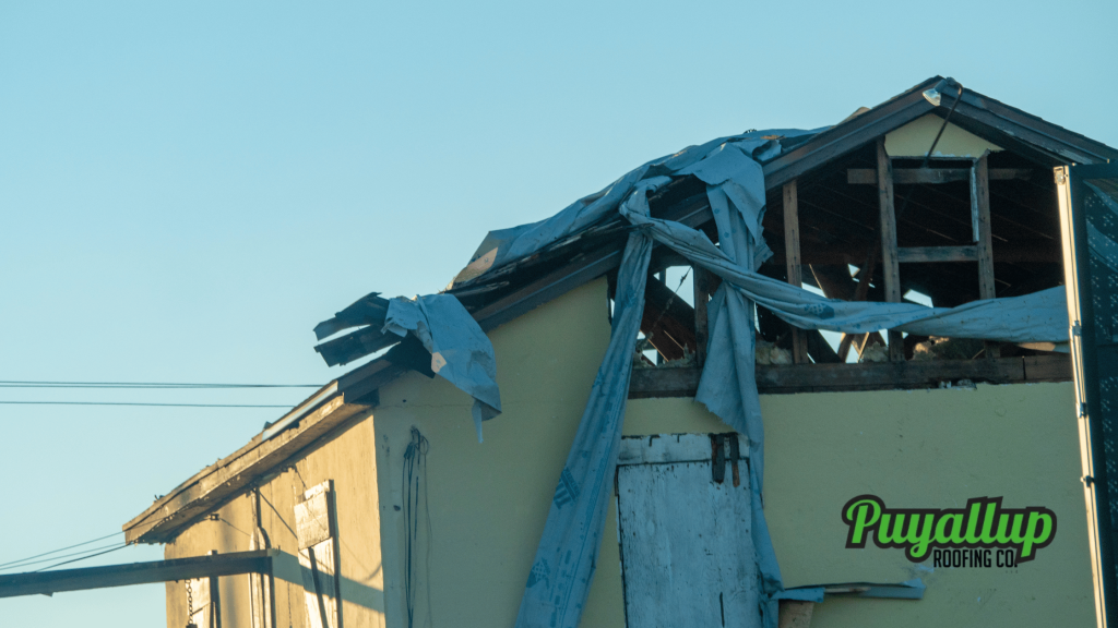 Spanaway Emergency Tarp-Offs