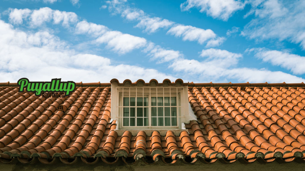 Orting Roof Add-Ons