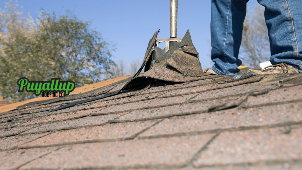 Black Diamond Roof Replacements