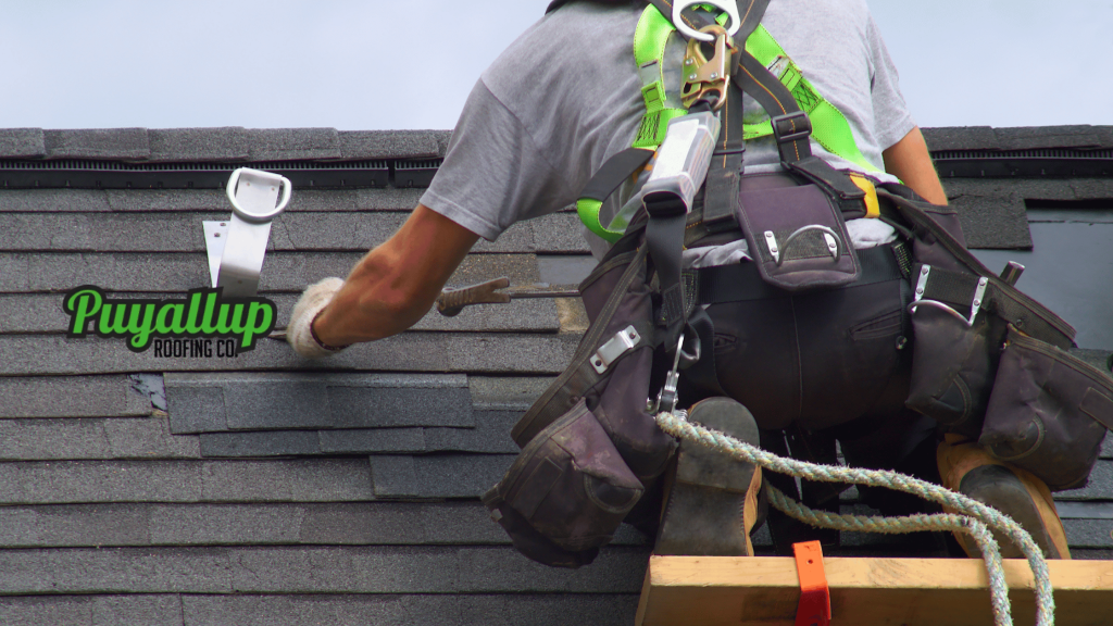 Buckley Roof Repair Services