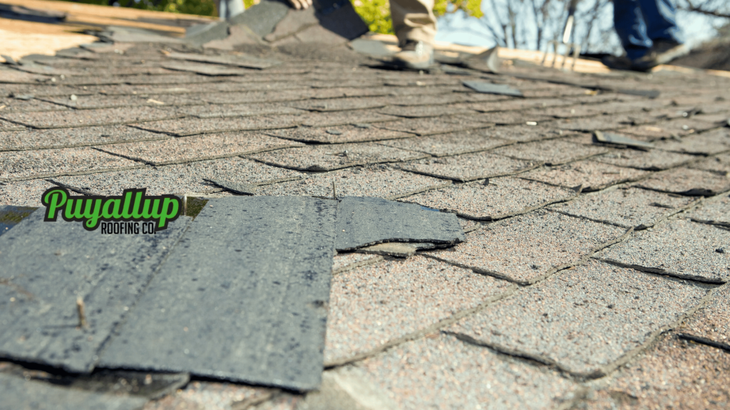 Fircrest Roof Repair Services