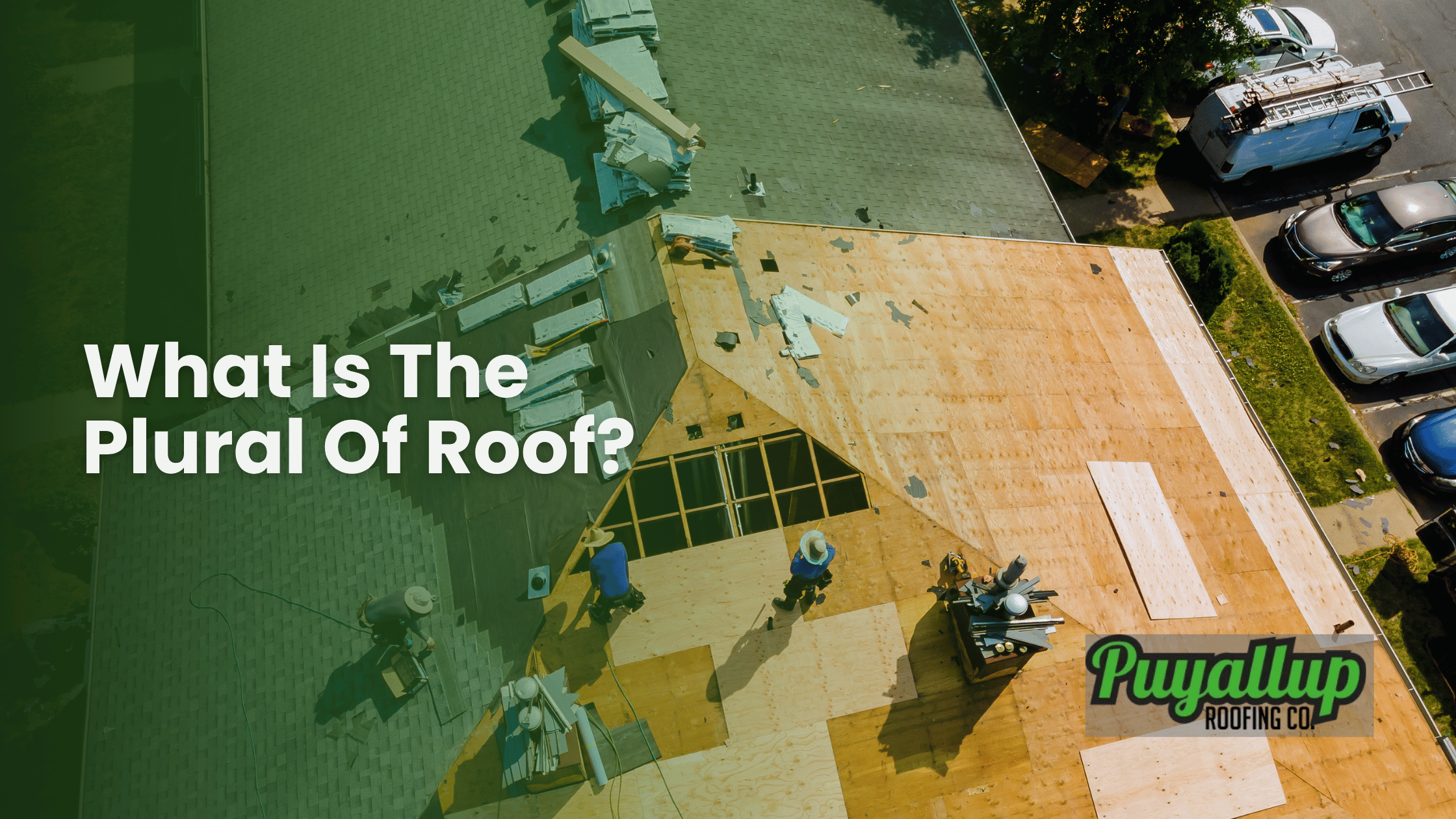 What Is The Plural Of Roof