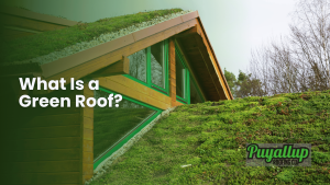 What Is a Green Roof