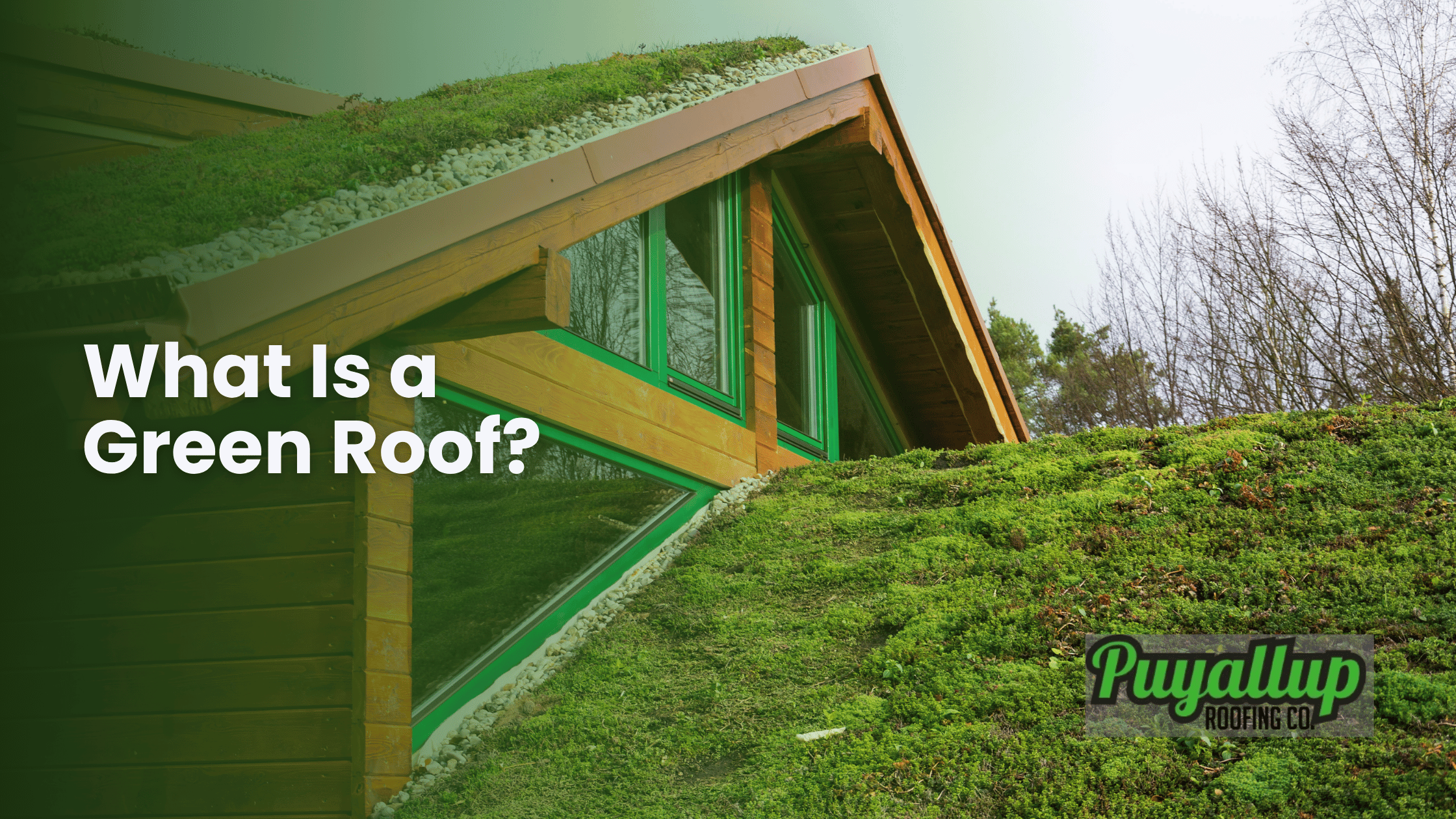 What Is a Green Roof
